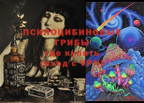 стаф Медногорск