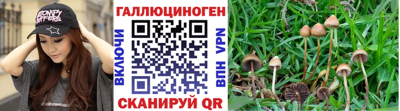 Псилоцибиновые грибы мухоморы  Глазов 
